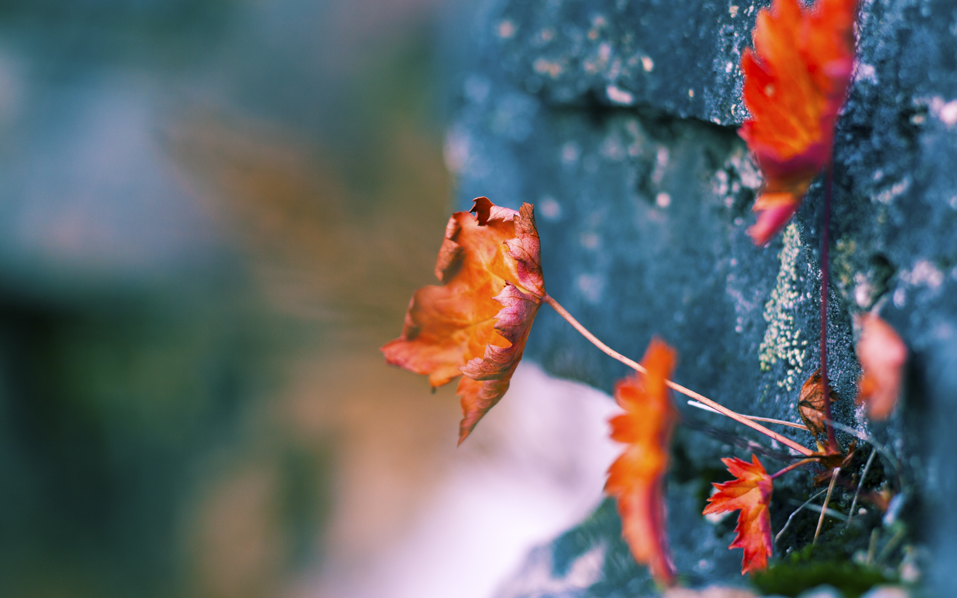 观众满意度调查结果公布整体观赛体验持续向好提升，专业观众满意度