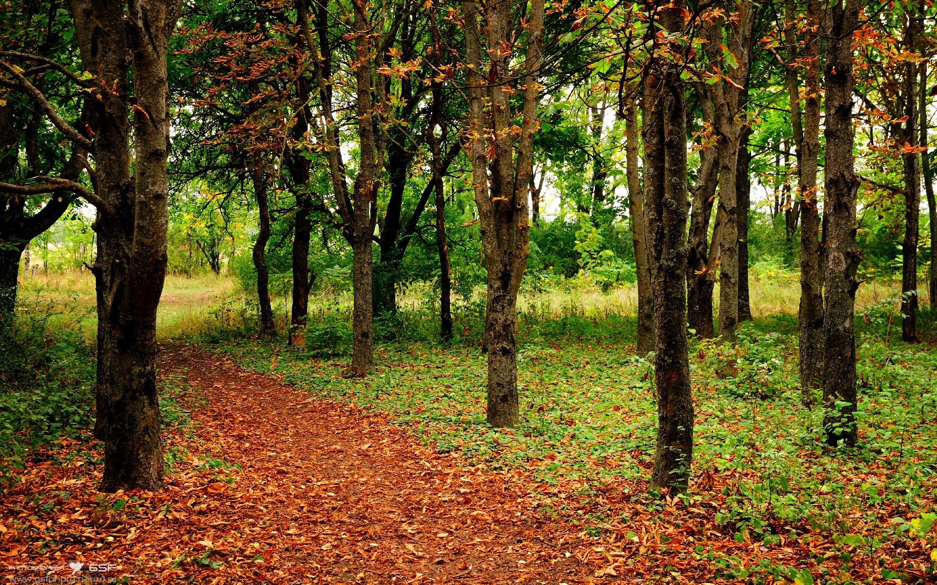 开云体育官方app-雷霆设置模拟裁判培训球员临场情绪控制，裁判骑在雷霆球员身上